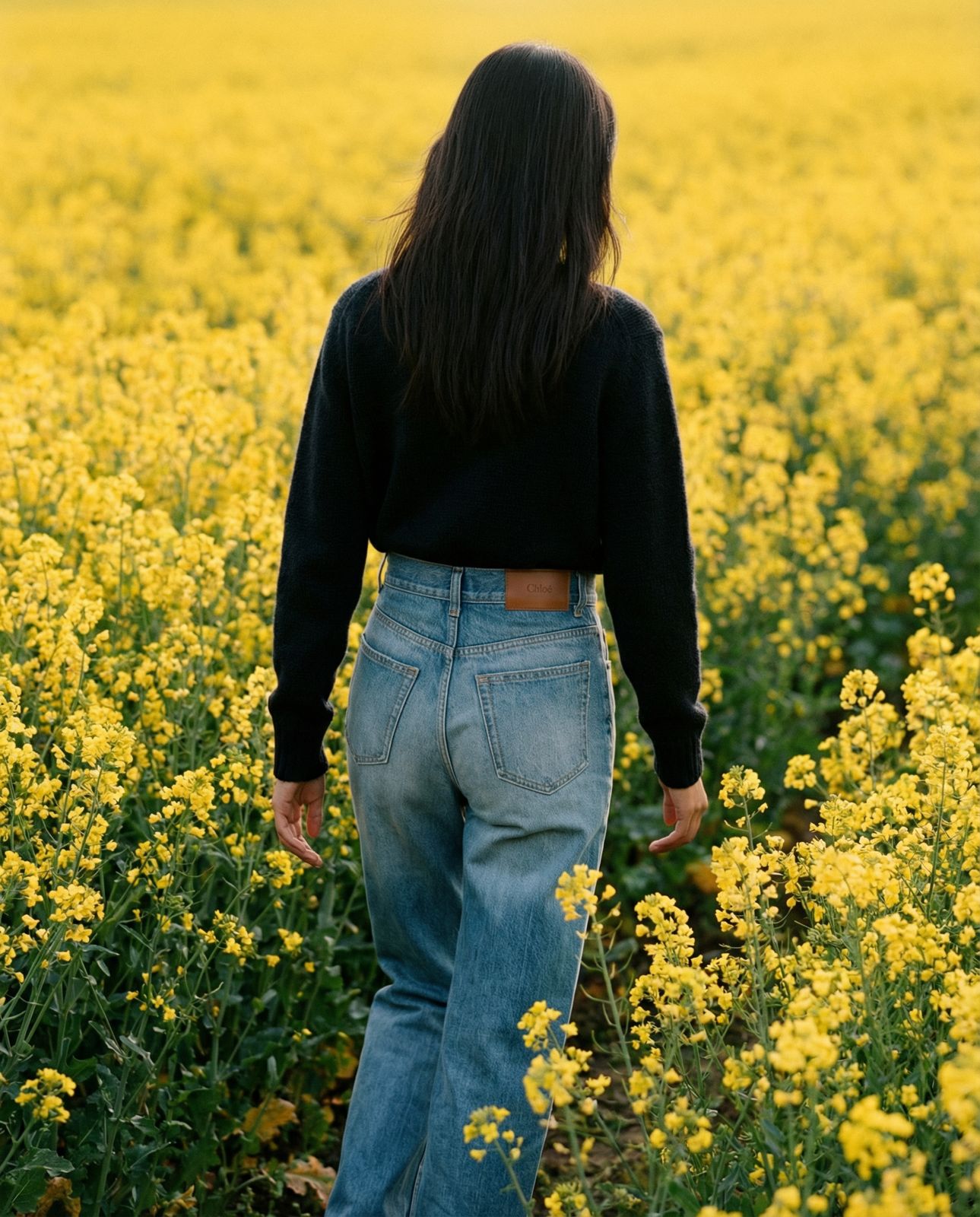 Chloé High-Rise Cropped Jeans in Denim